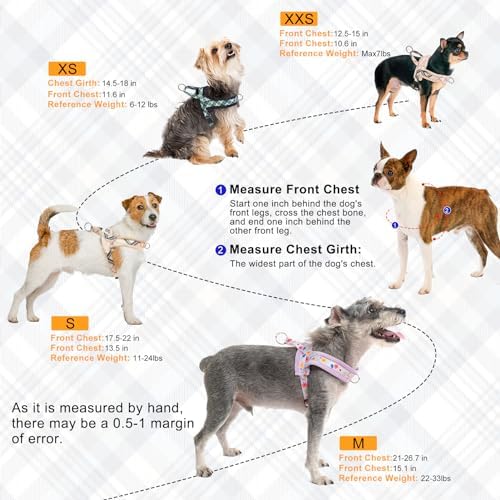 BEAUTYZOO No Pull Small Dog Harness and Leash Set, Soft Puppy Vest Harness - Image 4