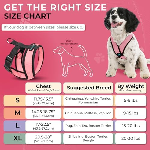 Gooby Comfort X Head-in Dog Harness, Choke-Free - Image 4