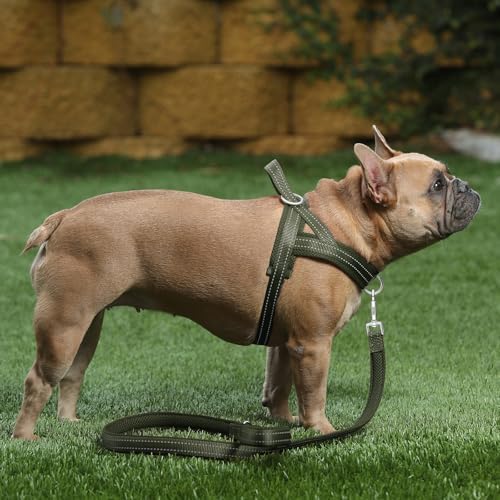 Plutus Pet No Pull Dog Harness for Medium Sized Dog, Breathable Mesh Padded - Image 5