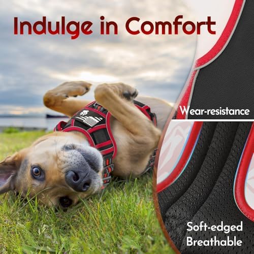 Eagloo Dog Harness No Pull for Large Dogs, Easy On & Off - Image 6
