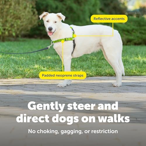 PetSafe Deluxe Easy Walk No Pull Dog Harness, Apple Green, Medium/Large - Image 5