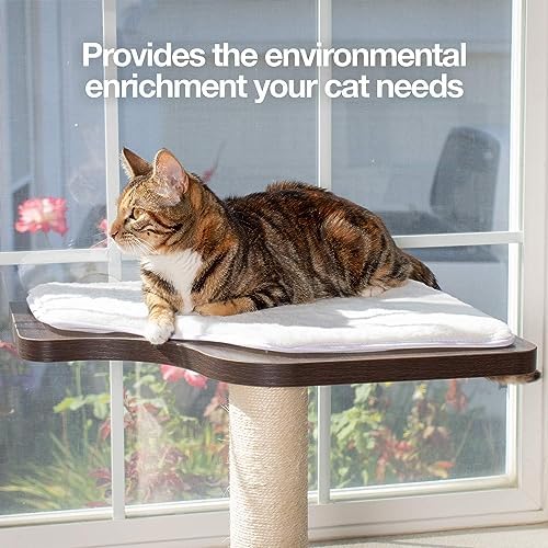 PetFusion Ultimate Cat Window Climbing Perch 45” Tall - Image 5
