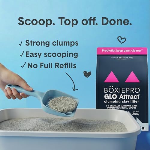 Boxie Glo Attract Clumping Cat Litter 40+ Day Odor Control Dust Free 40 lb - Image 5