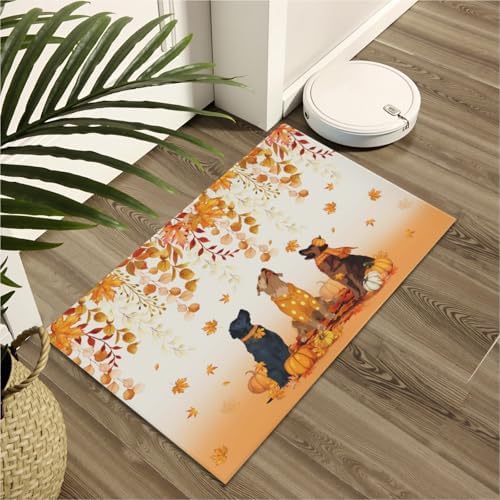 Giwawa Fall Dogs Bath Rug Autumn Leaves Bathtub Mat Non Slip Absorbent Holiday - Image 6