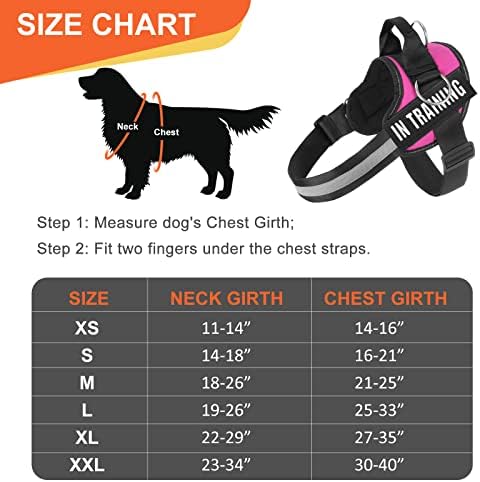Essential Dog Harness, No Pull Pet Harness - Image 2
