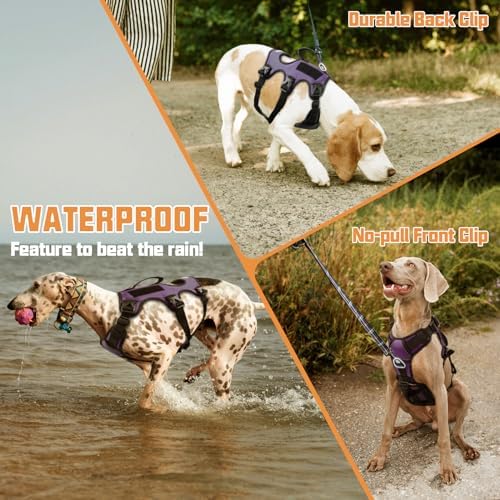 AUROTH Escape Proof Dog Harness - Image 4