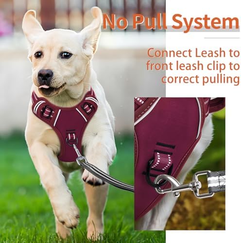 HEELE Dog Harness for Medium Dogs No Pull Dog Vest Harness - Image 4