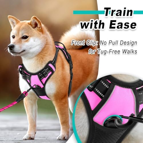 BARKBAY Dog Harness for Small Sized Dog No Pull 2 Leash Clips Dog Vest - Image 2