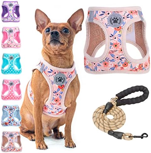 BEAUTYZOO Small Dog Harness and Leash Set, No Pull Puppy Pet Vest-Floral by BEAUTYZOO