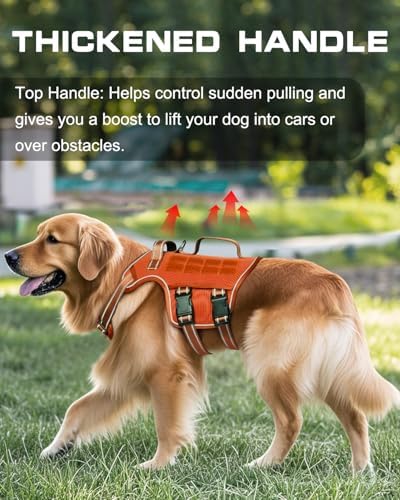 Dog Harness, Tactical No Pull for Small Sized Dog - Image 2