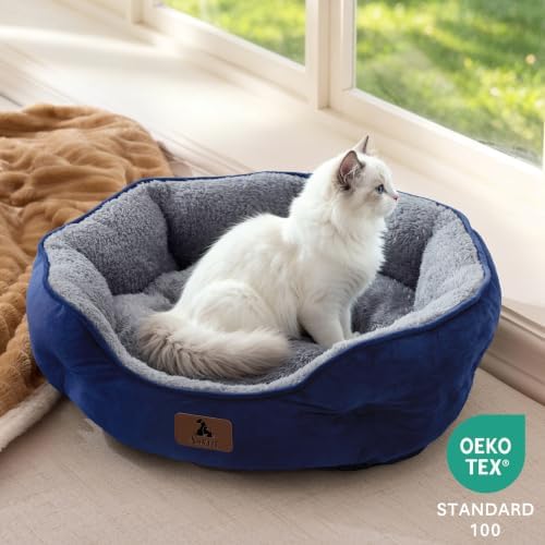 Asvin Small Dog Bed for Small Dogs, Cat Beds for Indoor Cats, Pet Bed for Puppy - Image 4