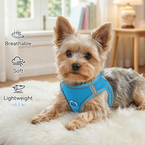 Joytale Step-in Dog Harness, Soft Breathable Mesh, Sky Blue XL - Image 4