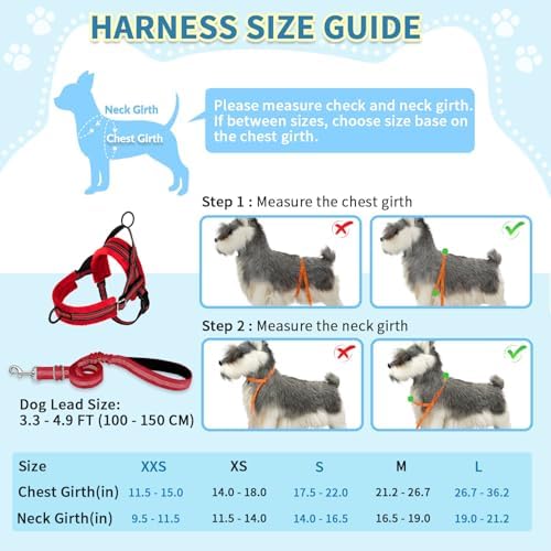 SlowTon No Pull Small Dog Harness and Leash Set - Image 5