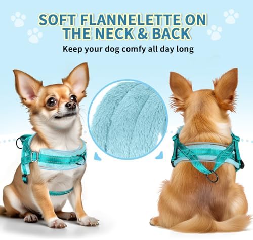 SlowTon No Pull Small Dog Harness and Leash Set - Image 2