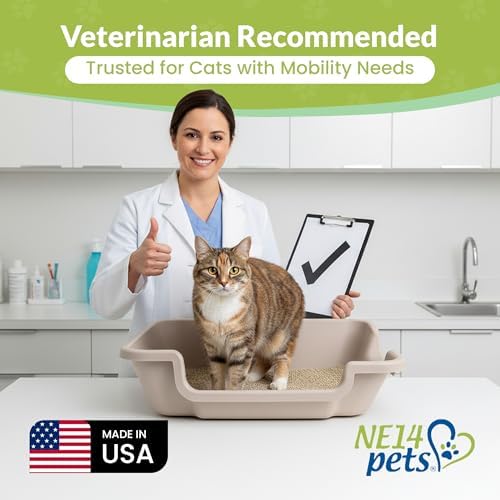 KittyGoHere 2.0 Easy Entry Cat Litter Box, 2 Pack Large Misty Gray - Image 4