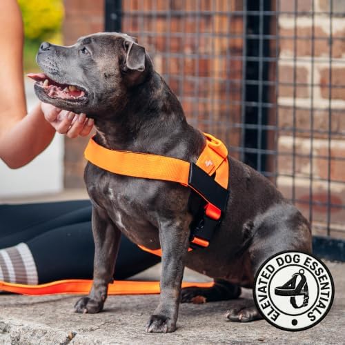 Dog Friendly Co. Dog Harness for Large Breeds - Image 4