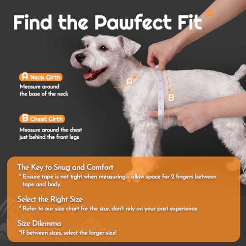 Eagloo Small Dog Harness and Leash Set, Step in Extra Small Puppy Pet Vest - Image 2