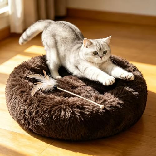 Cat Beds for Indoor Cats - Image 4
