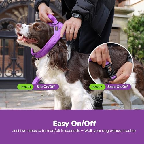 Didog No Pull Dog Harness for Medium Dogs, Breathable Mesh Padded - Image 4
