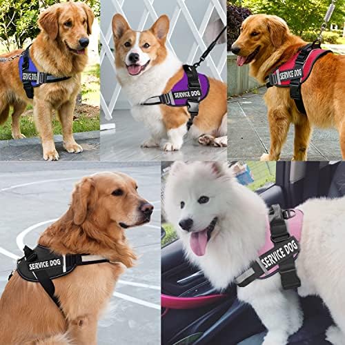 JSXD Dog Harness, No-Pull Service Dog Harness - Image 5