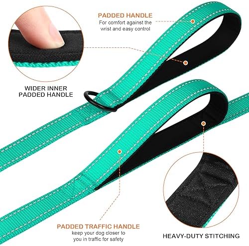 Joytale Dog Leash for Large Dogs that Pull, Double Handle - Image 2