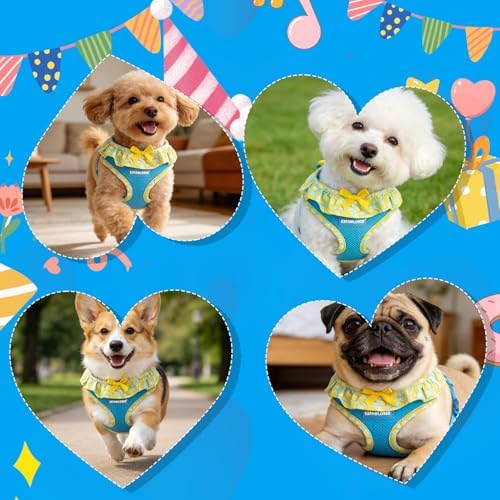 EXPAWLORER Step-in Dog Harness Small Sized and Leash Set - Image 6