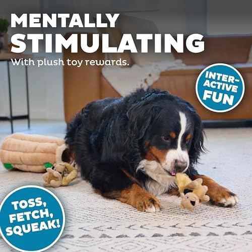 Outward Hound Hide-A-Squirrel Plush Squeaky Dog Toy - Image 4