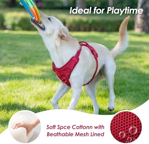 Sunraymascota No Pull Dog Harness - Image 6