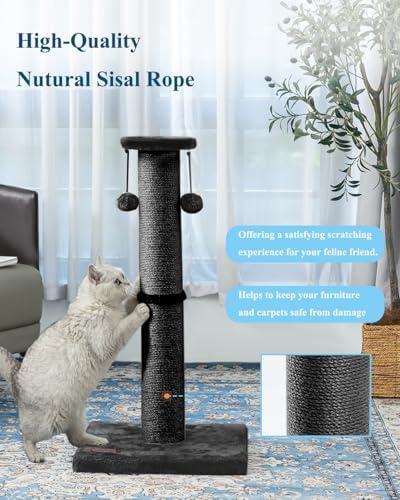 34Inch Tall Cat Scratching Post - Image 5