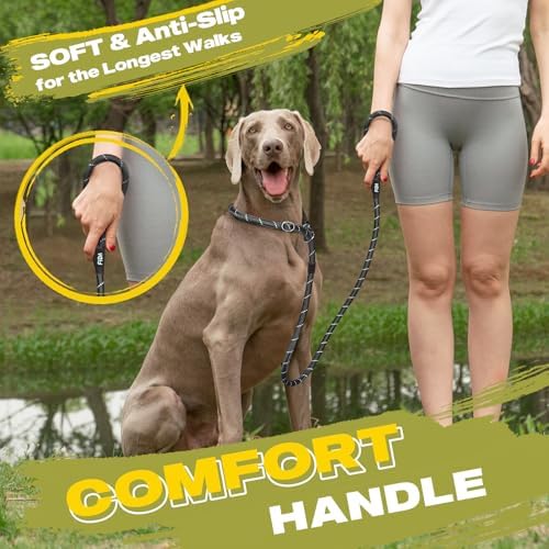 Fida Durable Slip Lead Dog Leash, 4 FT x 1/2" Dog Training Leash - Image 6