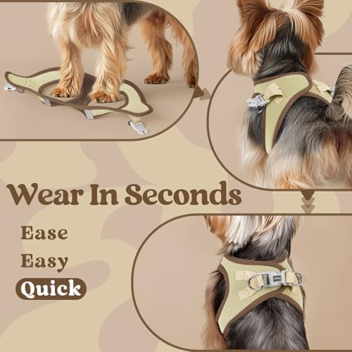 rabbitgoo Step-in Small Dog Harness, Puppy Vest - Image 5