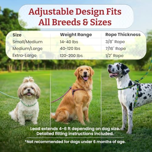 Harness Lead No Pull Dog Harness and Leash Set, Anti Pull Dog Harness, - Image 6