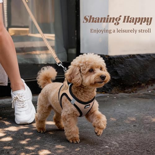 No Pull Dog Puppy Harness and Leash Set Reflective Mesh Vest Large - Image 6