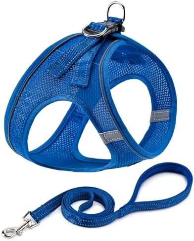Dog Harness with Leash Set, Step-in Adjustable Puppy Pet Vest by BOOMIBOO