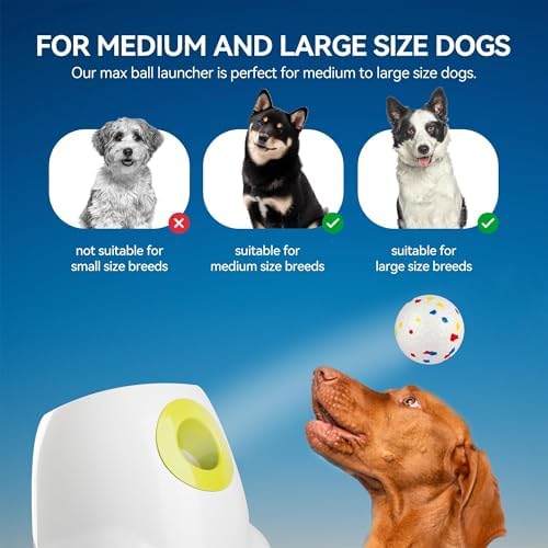 AFP Automatic Dog Ball Launcher - Image 7