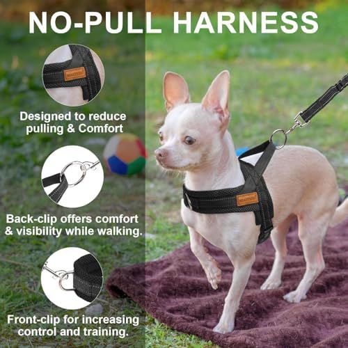BEAUTYZOO Small Dog Harness and Leash Set, No Pull Step in Puppy Vest - Image 2