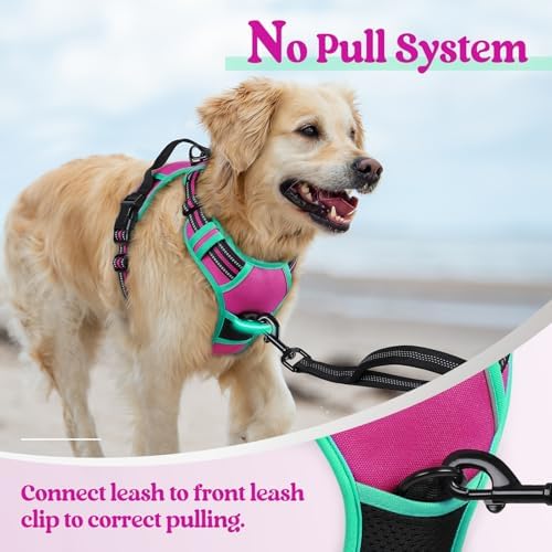 rabbitgoo Dog Harness, No Pull for Small Dogs - Image 5