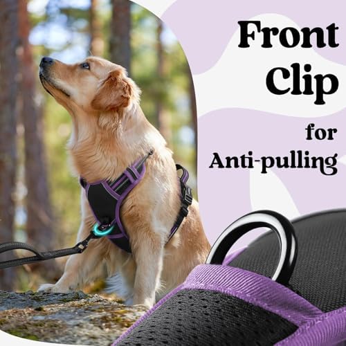 rabbitgoo Dog Harness Medium Sized, Updated Easy On & Off - Image 6