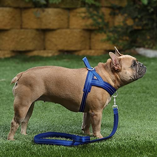 Plutus Pet No Pull Dog Harness for Medium Sized Dog, Breathable Mesh Padded - Image 5