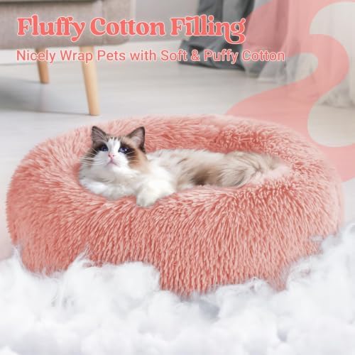 rabbitgoo Calming Cat Beds for Indoor Cats, 20 inches - Image 3