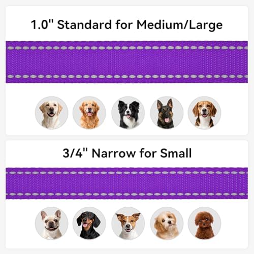 Joytale Reflective Dog Leash for Small Dogs, 6 FT x 3/4" - Image 6