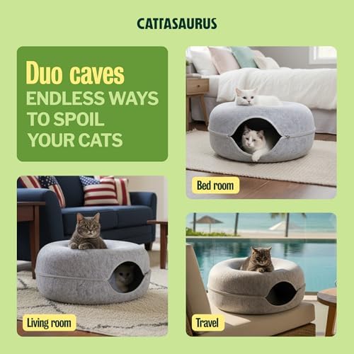 Cattasaurus Peekaboo Cat Cave Donut - Image 3