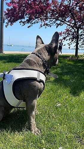 Step in Dog Harness, Lightweight Breathable Mesh Soft Padded Pet Vest, Vegan - Image 6