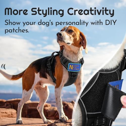 Eagloo Dog Harness No Pull for Small Dogs, Easy On & Off - Image 5