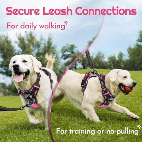 Eagloo Dog Harness No Pull for Large Dogs, Easy On & Off - Image 3