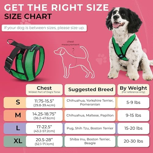 Gooby Comfort X Head-in Dog Harness, Choke-Free, Hunter Green - Image 3