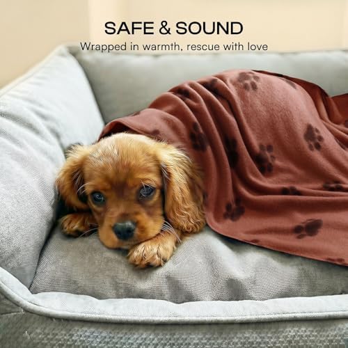 LINENLUX Fleece Dog Blankets 6-Pack, Soft Stretchy - Image 4