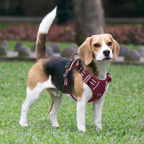 Timos Dog Harness, Front Clip No Pull Medium Sized - Image 6