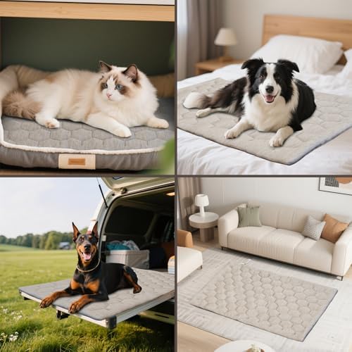 Cooling Mat for Dogs, Q-MAX>0.4 Ice Green B Size - Image 3