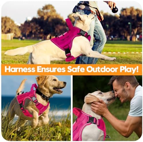 Heavy-Duty Tactical Dog Harness - Image 6